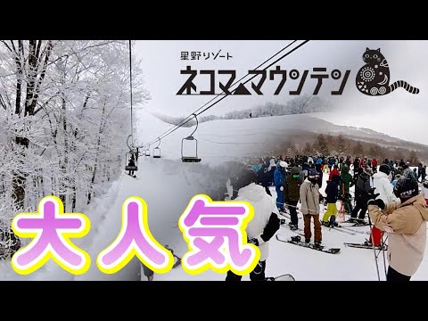 Video: 【星野リゾート ネコママウンテン】多彩なコースと極上の雪が大人気!