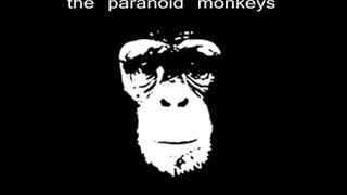 The Paranoid Monkeys - 'World is Black'