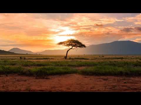 Kususa & Argento Dust - Asanda Ft Zakes Bantwini