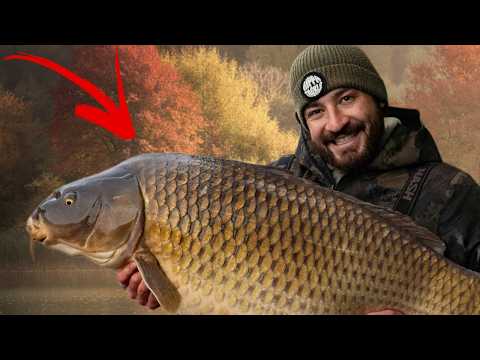 Big Carp Fishing in France - French Carp Fishing Holiday