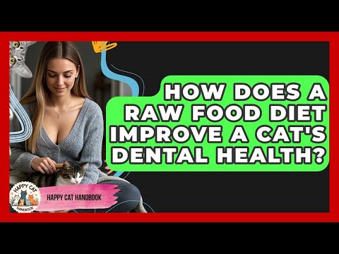 How Does A Raw Food Diet Improve A Cat's Dental Health? - Happy Cat Handbook