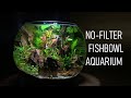 Fish Bowl Aquarium & Pet Mart West Warwick Ri
