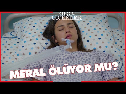 Kırgın Çiçekler Özel Kısa Bölümler | 170