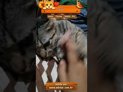 Vídeo de Lilica