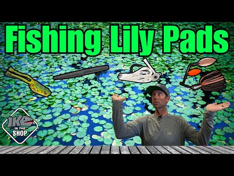 Mastering Lily Pad Fishing: Insider Tips for Monster Bass!