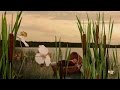 Show Me The Place - Leonard Cohen 