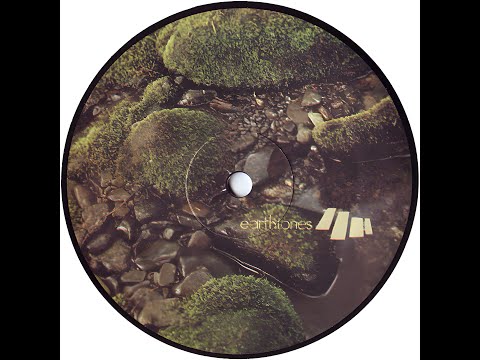 ADNY & The Persuader - The Beauty Of Final Causes (2000)