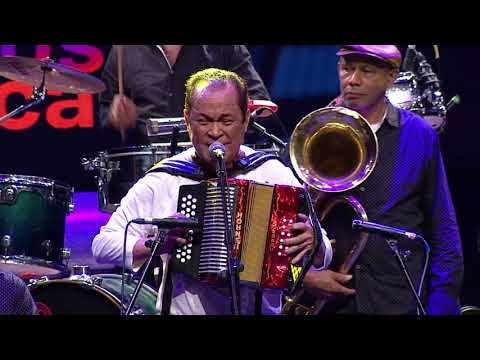 Alfredo Gutiérrez - La Paloma Guarumera / Más Vivos que Nunca 85 Años |