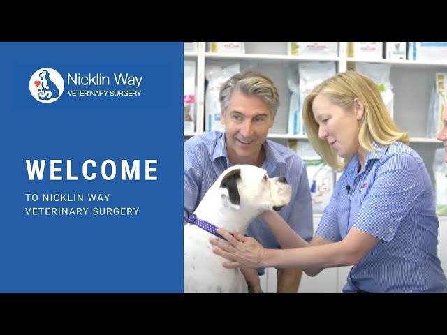 Nicklin Way Veterinary Surgery - Warana, QLD