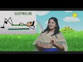 Standing Line Sleeping Line And Slanting Line English