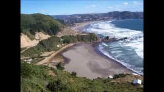 S.O.S MACACO- MENHUIN