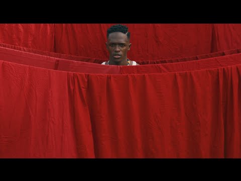 G-West X Ghanaian Stallion - Salary