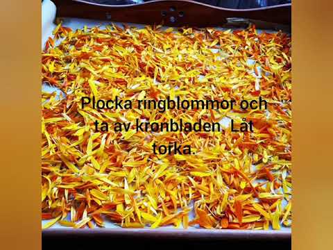 Gör egen ringblomssalva