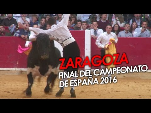 FINAL DEL CAMPEONATO DE ESPAÑA AL DETALLE - ZARAGOZA 12/10/2016 | CHAMPIONSHIP SPANISH BULL