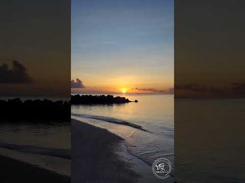 I was born to explore, have adventures, and watch sunsets #sunset #breach