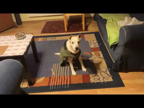 Jimmy Jacket for extreme cold