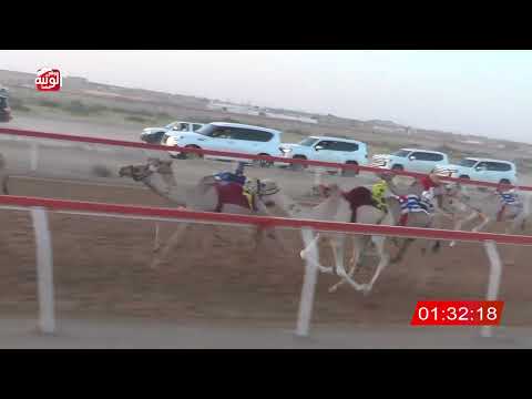  ش 4 (شاهين) لـ سعيد محمد سعيد بالعامري 2:16 , شارة الصندوق 2026/06/07 فطامين الجبيب  