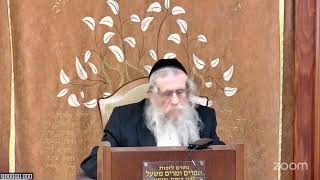 הרה"ג הרב וועכטר שליט"א ג' אייר תשפ"ה - ליקוטי שיחות חלק ה' פרשת ויגש ב' חלק א' (הרב אברהם מנחם מענדל וכטר) - התמונה מוצגת ישירות מתוך אתר האינטרנט יוטיוב. זכויות היוצרים בתמונה שייכות ליוצרה. קישור קרדיט למקור התוכן נמצא בתוך דף הסרטון