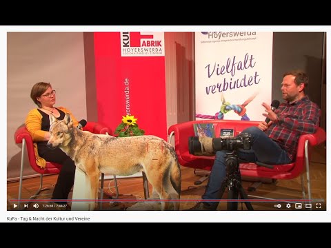 KuFa - Tag & Nacht der Kultur und Vereine