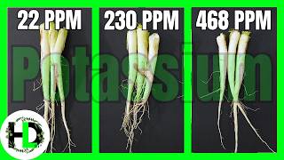 Does Potassium Have an Effect on Plant Growth?