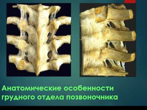 Отсутствие жидкости в коленном суставе диагноз Скованность и боль в суставе