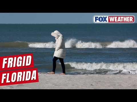 Coldest Temperatures In A Decade Invading Florida This Weekend