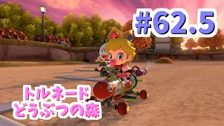 【ゆっくり】姫様と雑談マリカ8DX　#62.5