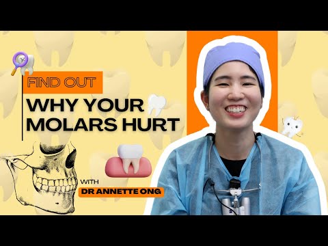Why Your Molars Hurt: Cavities, Cracks & Wisdom Teeth Pain