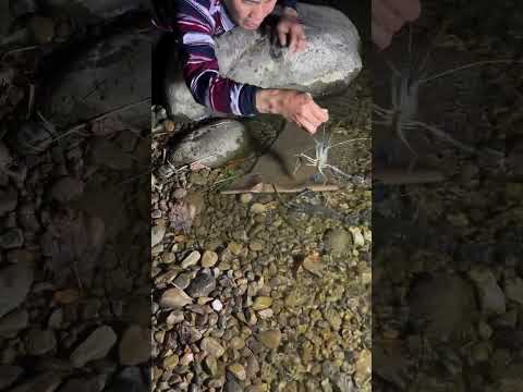 Reel tagged #fish