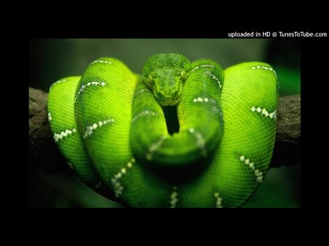 kllu de la severin si formatia DYAMANTYS - cand eram eu micutel