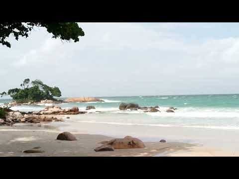 Welcome in paradise avec Delphine Bell ecrivain " Derniere Liberte "