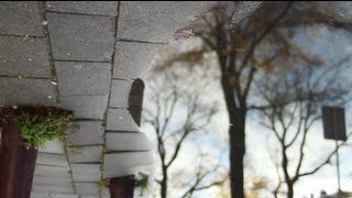 Ernst Reijseger :: Encounter at the Cello Biënnale