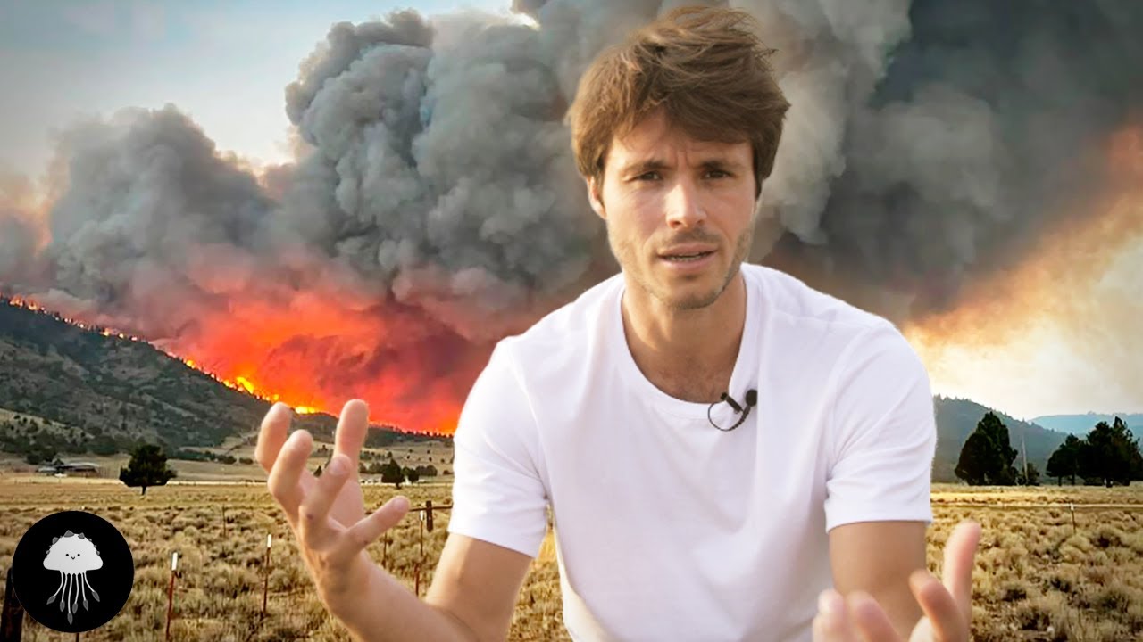 Faut-il laisser brûler ces forêts ? - DBY #83