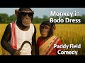 Funny Monkey In Bodo Dress Cutting Paddy Assamese Tribal Village Life Amaldey7058