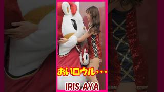 おいロウル...　IRIS　AYAさん　ロウル俺にも抱きついてくれよ　#チア 　#チアダンス 　#チアリーダー 　#shorts  #ロウルかわいいよロウル