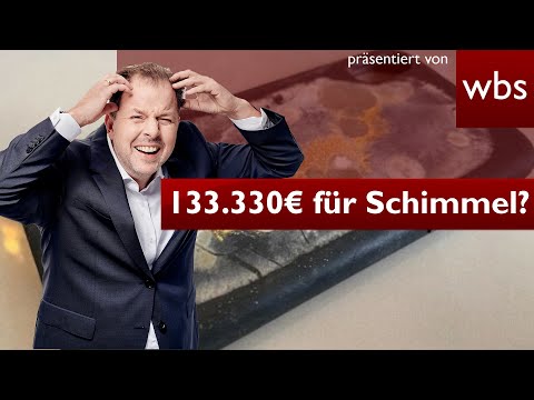 Bibi versteigert verschimmelte Handyhülle für 133.000 €! Muss Käufer zahlen? | RA Solmecke REAGIERT