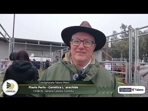 14-08-26 - Flavio Perlo - Genética Larachide - General Cabrera, Córdoba