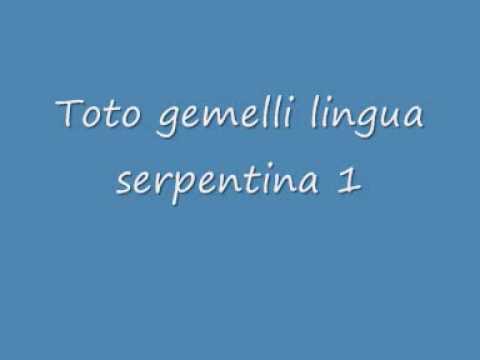 Toto gemelli lingua serpentina 1