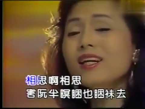 陳小雲 月夜相思曲