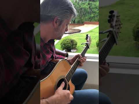 Flor Do Lamaçal - Victor Chaves