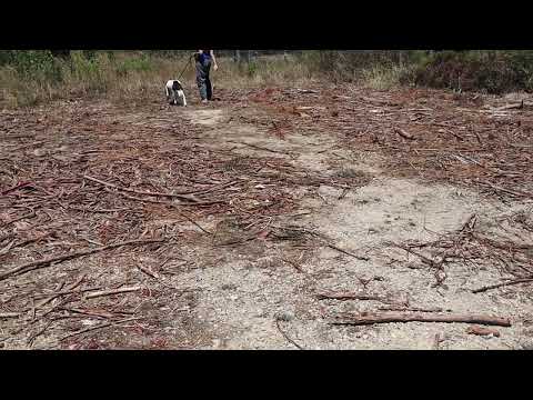 Vídeo de MAGGI