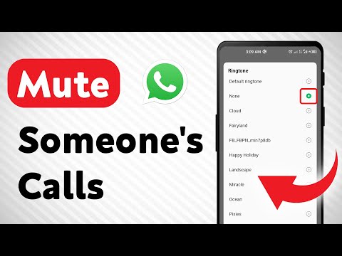 How to Mute someone's Calls on WhatsApp (Updated)