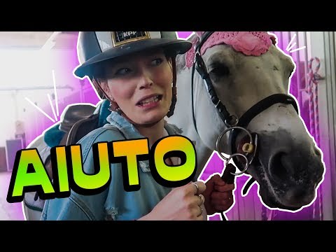 My FIRST HORSE vlog! Getting ready!