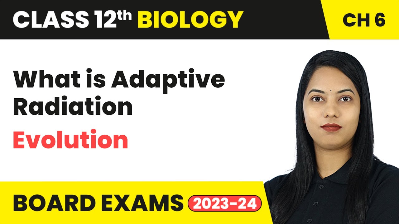 What is Adaptive Radiation - Evolution | Class 12 Biology Chapter 6 | CBSE