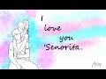 Senorita WhatsApp Status Shawn English Song Love You Status Animy Animations