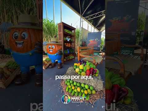 A força do agro em São Paulo: exemplo que gera renda e alimenta o país