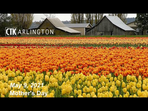2021 0509 CTKArlington Mother's Day