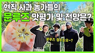사과농사꾼이 맛보고 놀란 명품사과 문루즈! 사과농사 성공을 확신합니다. #사과농사#사과나무#신품종