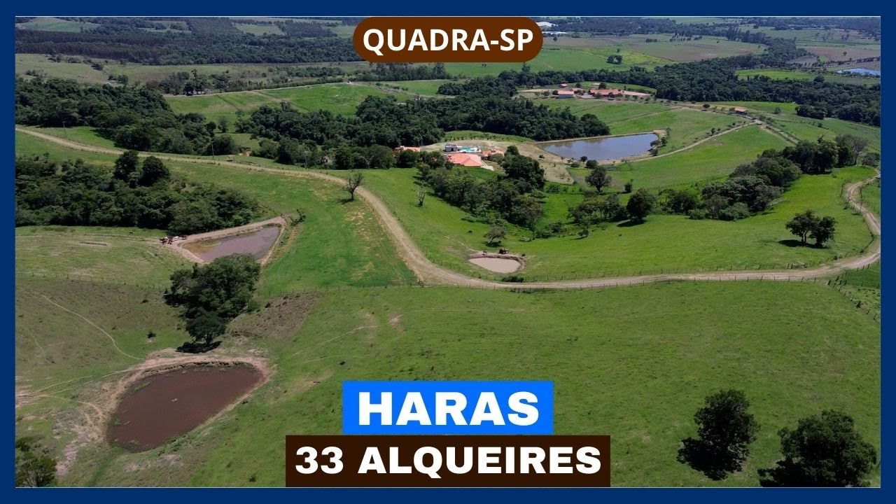 Haras de 33 alqueires à venda em Quadra-SP.
