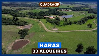Haras de 33 alqueires à venda em Quadra-SP.